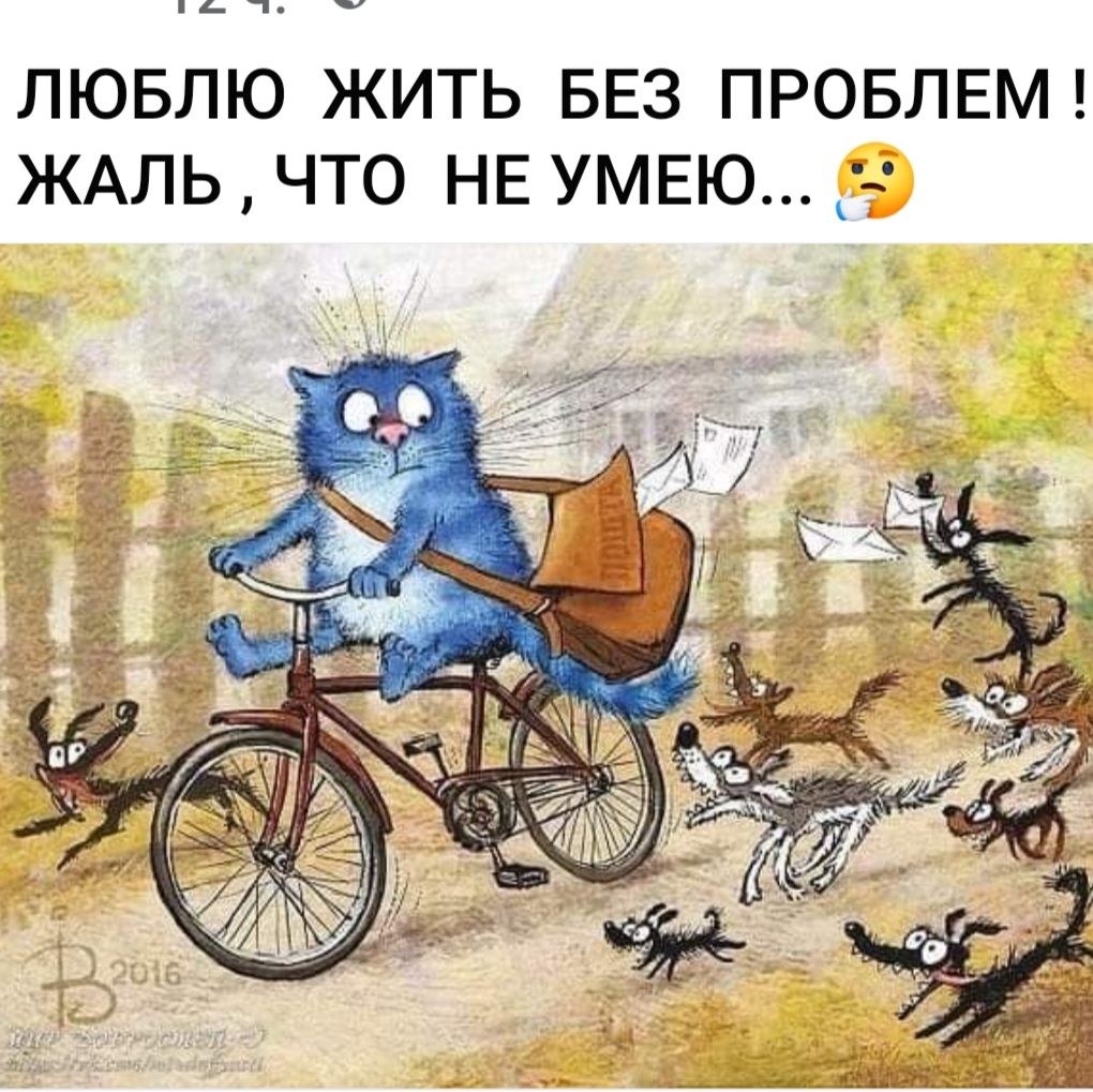 ЛЮБЛЮ ЖИТЬ БЕЗ ПРОБЛЕМ ЧТО НЕ УМЕЮ ЖАЛЬ