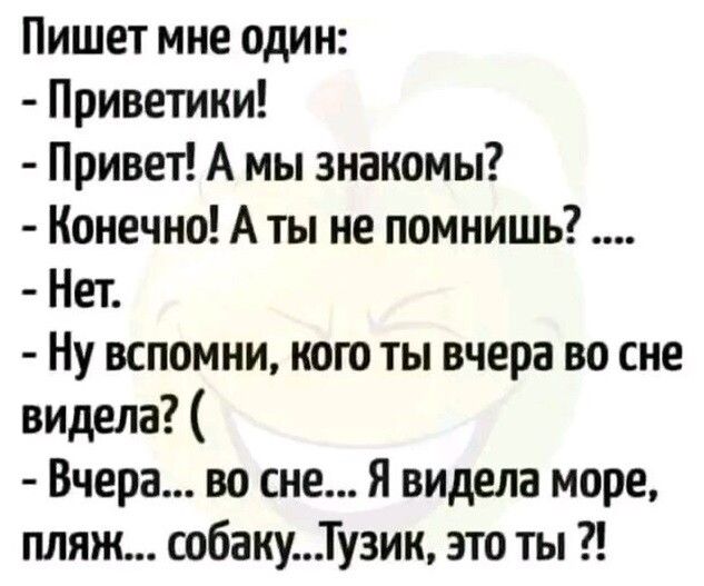 Пишет мне один Приветики Привет А мы знакомы Конечно А ты не помнишь Нет Ну вспомни кого ты вчера во сне видела Вчера во сне я видела море пляж собакуТузии это ты