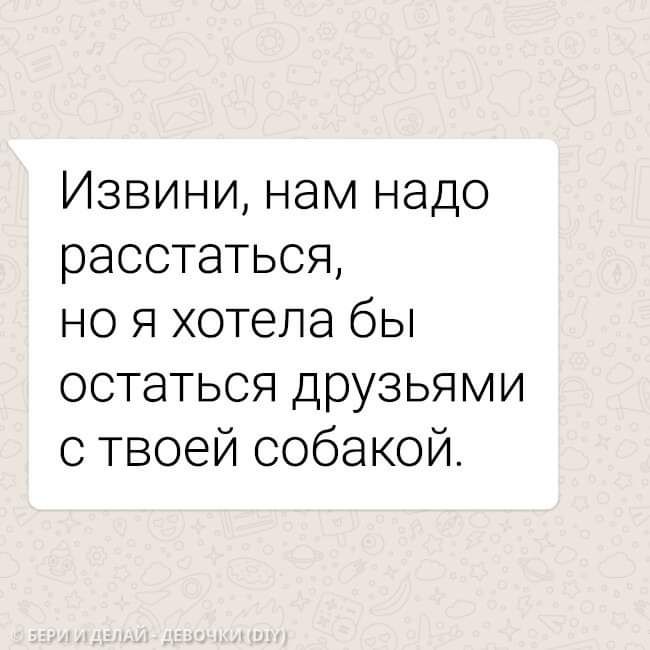 Извини нам надо расстаться но я хотела бы остаться друзьями с твоей собакой