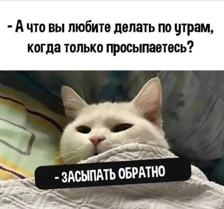 А что вы любите делать по цтрам КОГДЗ ТОЛЬКО ПРОСЫПЗОТВСЬ Б г _ ЗАОЫПАТЬ ОБРАТНО _ __