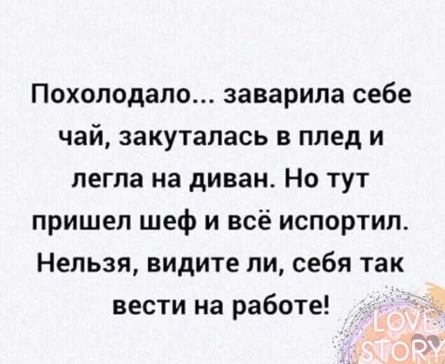 Похолодало заверила себе чай закуталась в ппед и легла на диван Но тут пришел шеф и всё испортил Нельзя видите ли себя так вести на работе