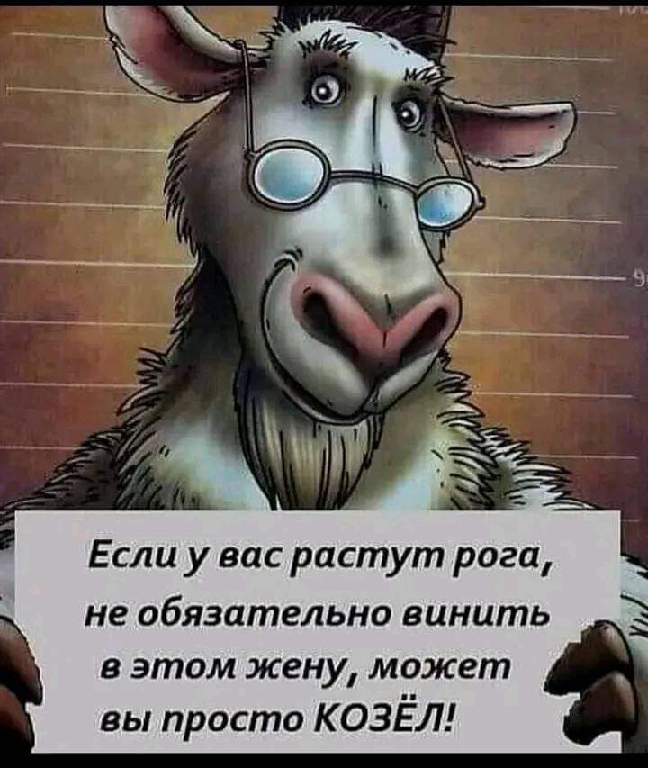 Если у вас растут рога не обязательно винить в этом жену может вы просто К ОЗЕЛ