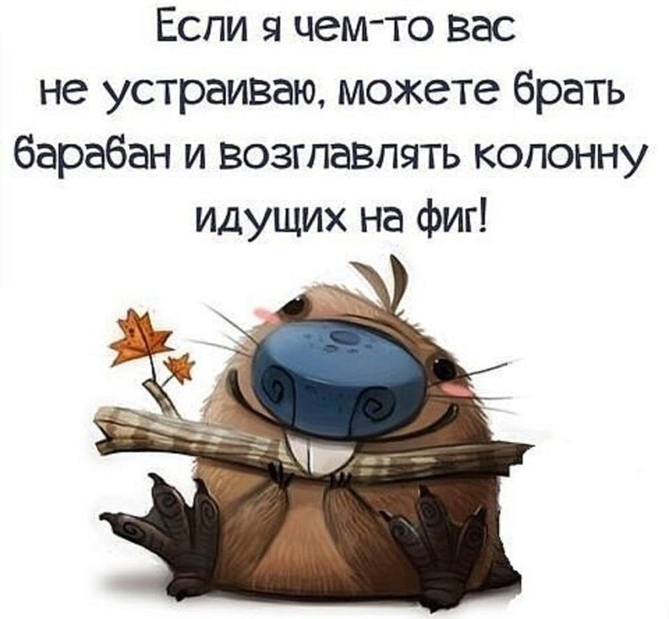 Если чем то вас не устраиваю можете брать барабан и возглавлять колонну Идущих на фиг