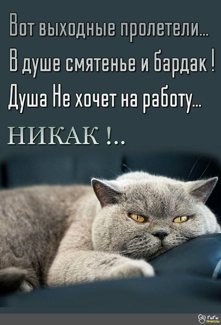 Нпт выходные прилетели Ндушв смятенье и Бардак Душа Нв хочет на рабпту НИКАК