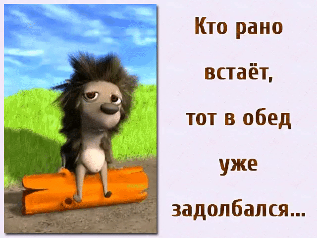 Кто рано встаёт тот в обед уже задолбался