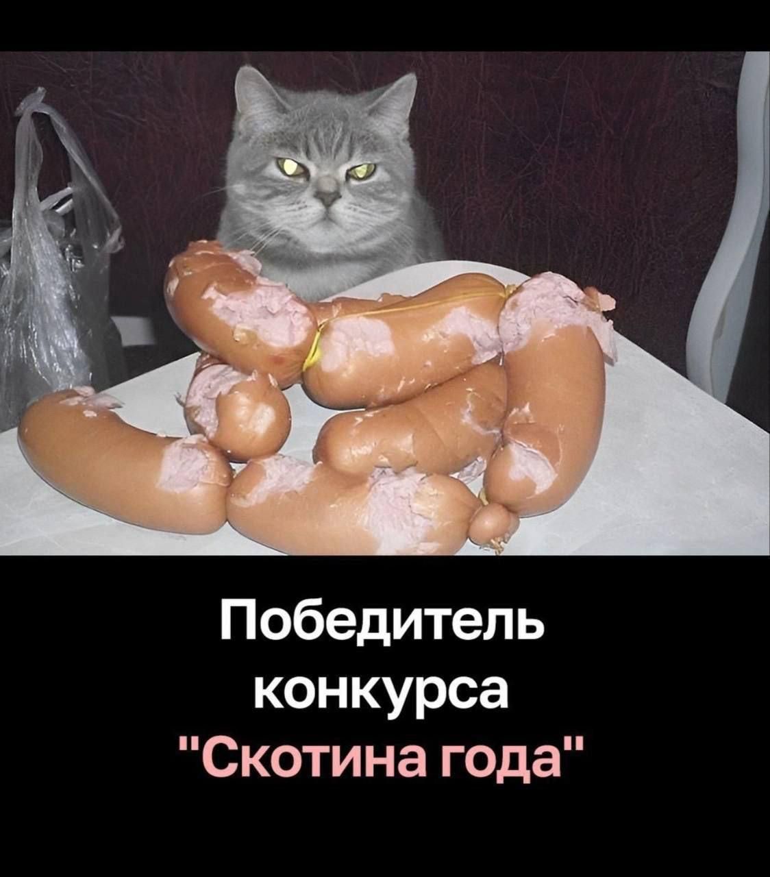 Победитель конкурса 