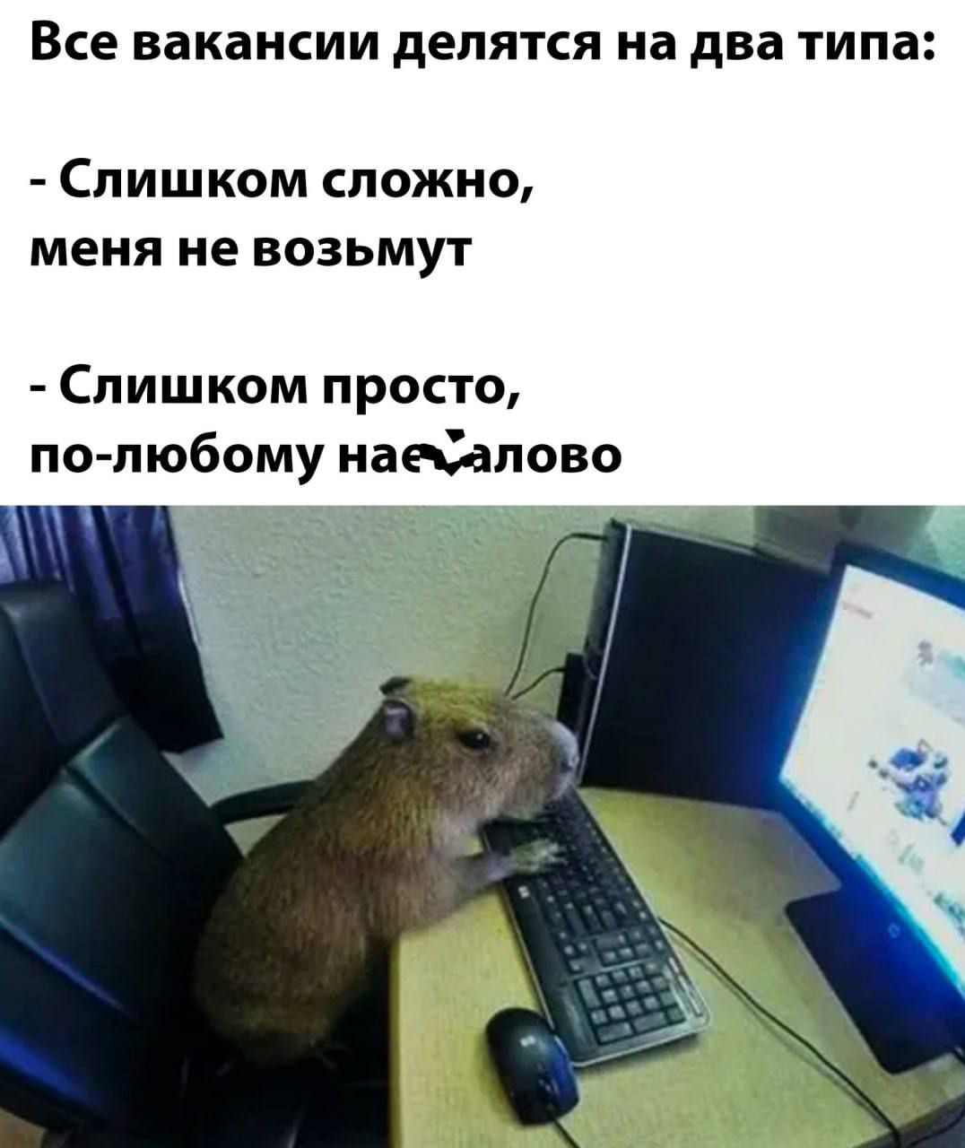Все вакансии делятся на два ТИПЗ Слишком сложно меня не возьмут Слишком просто по пюбому нае Садово