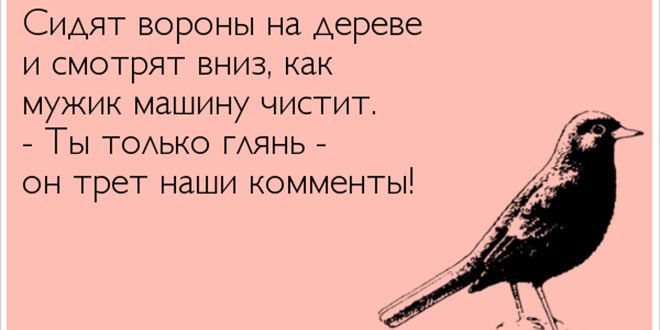 СИАЯТ ВОРОНЫ на дереве И СМОТРЯТ ВНИЗ как мужик машину чистит Ты ТОАЬКО ГАЯНЬ ОН трет наши КОММЁНГЫ