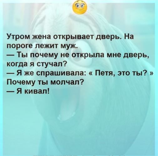 Утром жена открывает дверь На пороге лежит муж Ты почему не открыла мне дверь когда я стучал Я же спрашивала Петя это ты Почему ты молчал Я кивал
