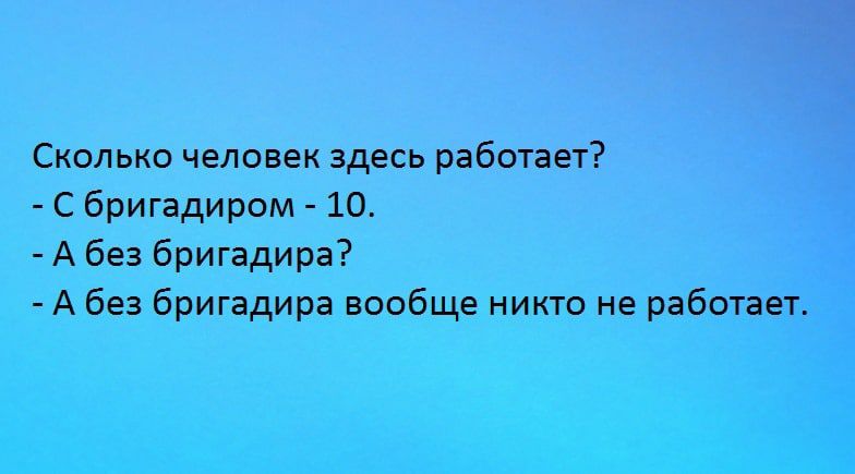 Сколько человек здесь работает С бригадиром 10 А без бригадира А без бригадира вообще никто не рабптает