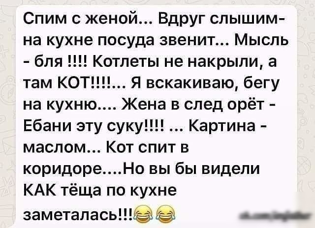 Спим с женой ВдРУг слышим на кухне посуда звенит Мысль бля Котлеты не накрыли а там КОТ Я вскакиваю бегу на кухню Жена в след орёт Ебани эту суку Картина маслом Кот спит в коридореНо вы бы видели КАК тёща по кухне заметапась