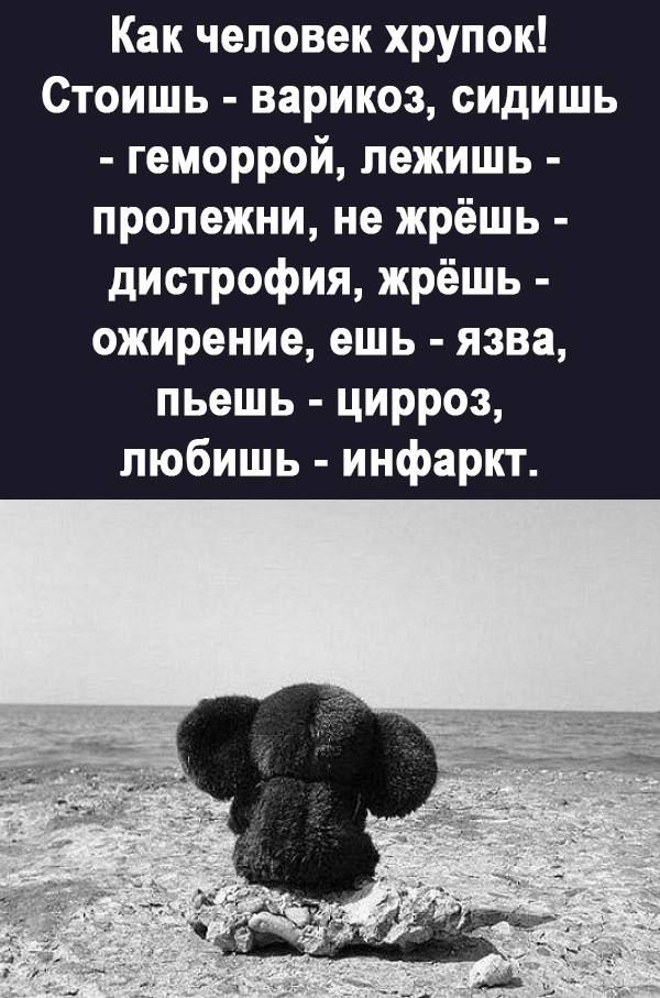 Как человек хрупок Стоишь варикоз сидишь геморрой лежишь пролежни не жрёшь дистрофия жрёшь ожирение ешь язва пьешь цирроз любишь инфаркт