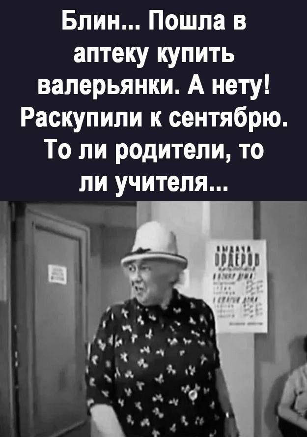 Блин Пошла в аптеку купить валерьянки А нету Раскупипи к сентябрю То ли родители то ли учителя