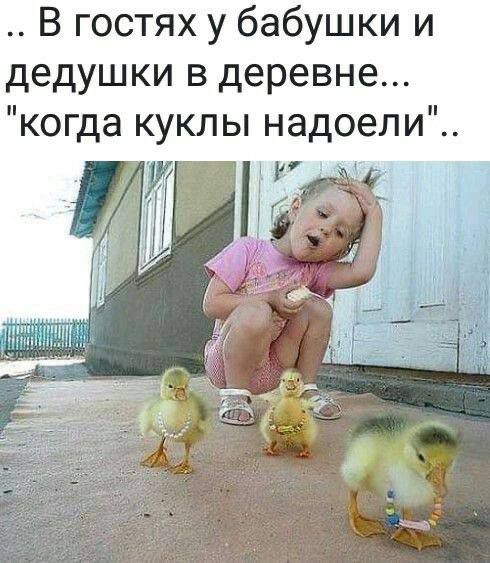 В гостях у бабушки и дедушки в деревне когда куклы надоели