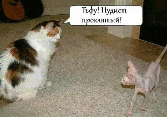 Тьфу Нудист приклятый