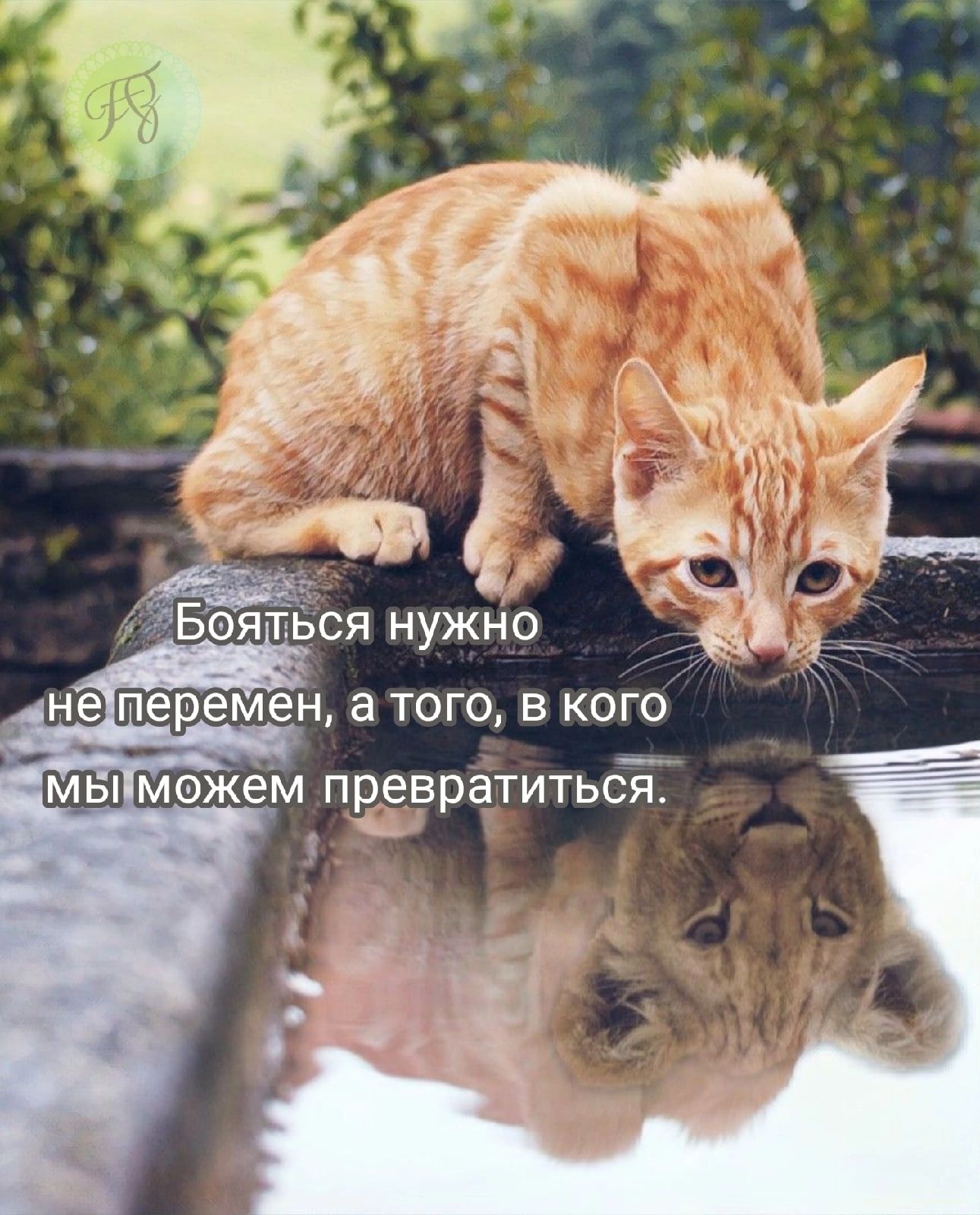 аМвиможем превратиться_ ча преврё