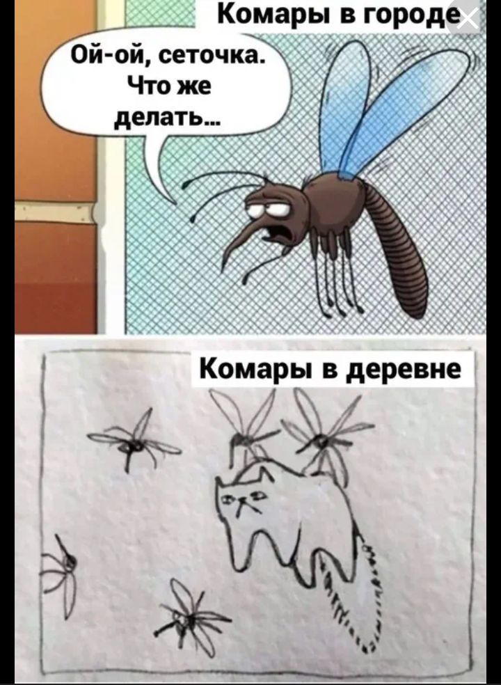 ___ Комары вгороде сеточка Эйк
