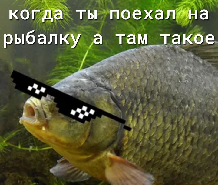 КОГда ты поехал на рыбалку там ое