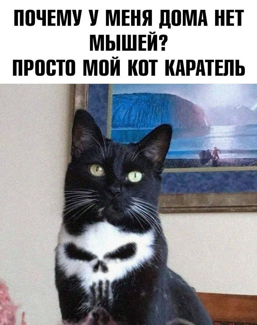 ПВЧЕМУ МЕНЯ ДВМА НЕТ МЫШЕЙ ПРВВТП МПЙ КВТ КАРАТЕЛЬ Ё идёт