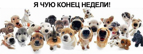 Я ЧУЮ КОНЕЦ НЕДЕЛИ тут Ё