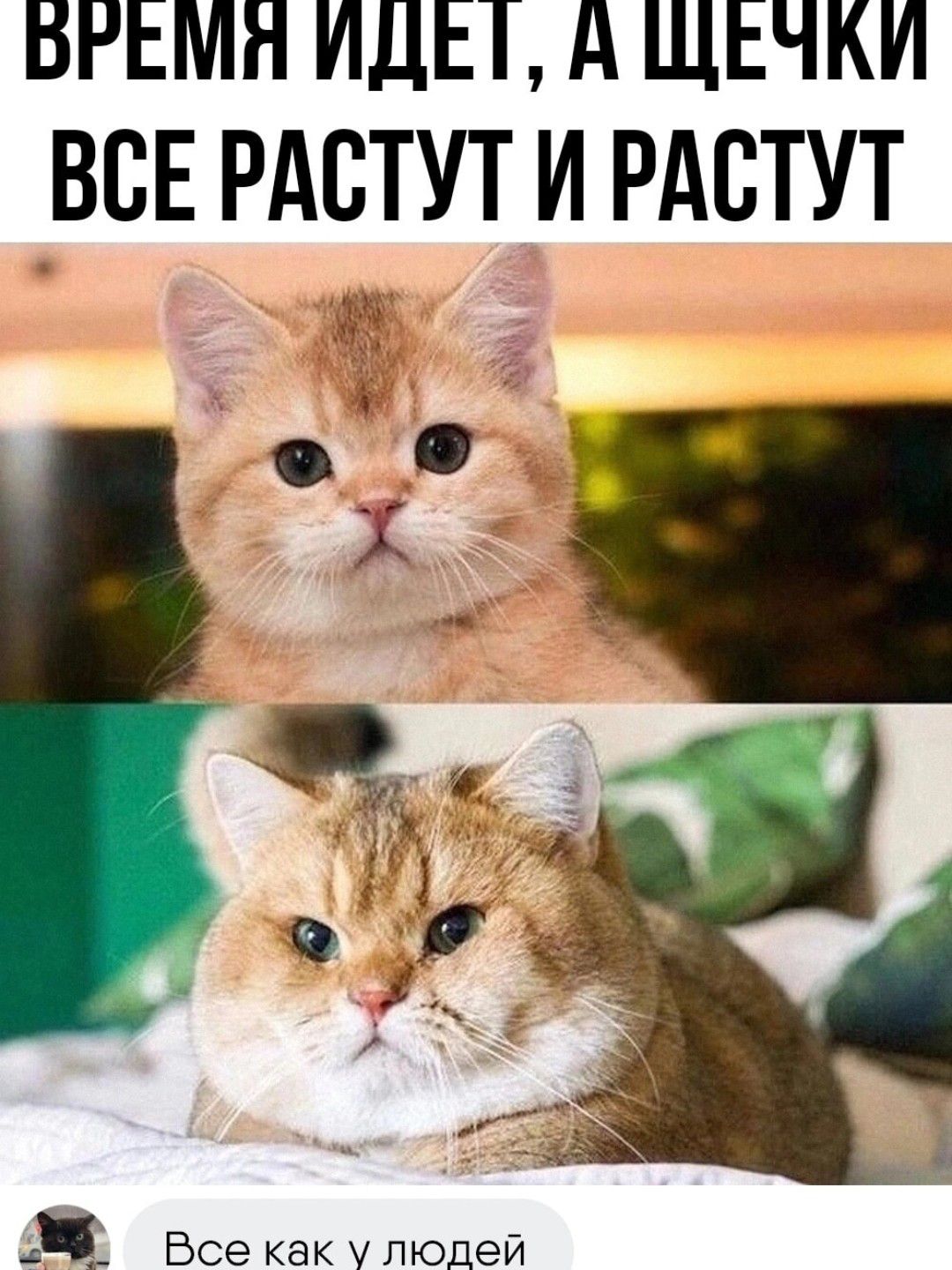 ВРЕМЯ ИДЕТ д ЩЕЧКИ ВСЕ РАСТУТ И РАСТУТ
