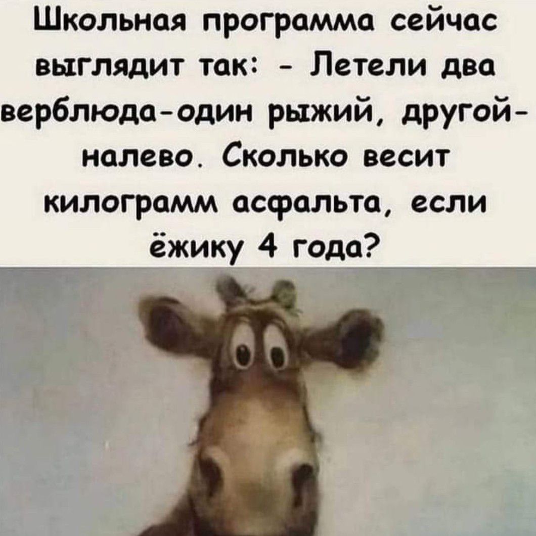 Школьная программа сейчас выглядит так Летели два верблюдаодин рыжий другой налево Сколько весит килограмм асфальта если ёжику 4 года