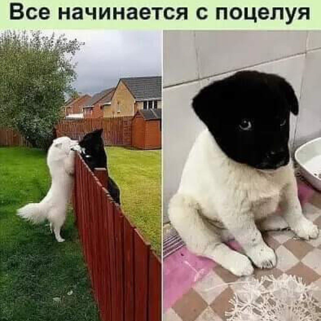 Все НЗЧИНЗЕТСЯ С ПОЦЭЛУЯ