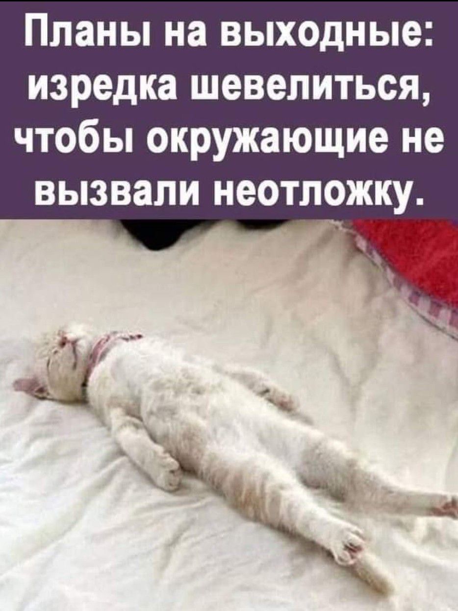 Планы на выходные изредка шевелиться чтобы окружающие не вызвали неотложку