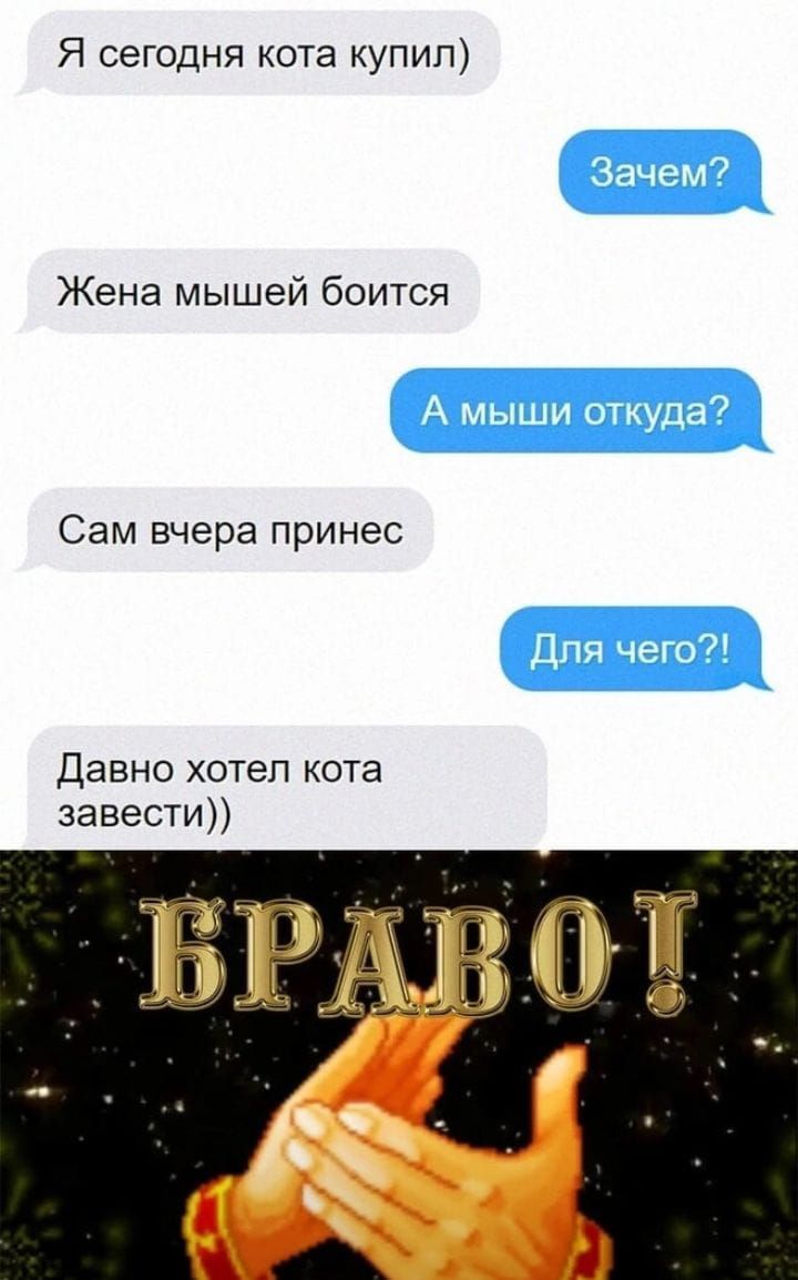 Я сегодня кота купил Жена мышей боится Сам вчера принес Давно хотел кота завести