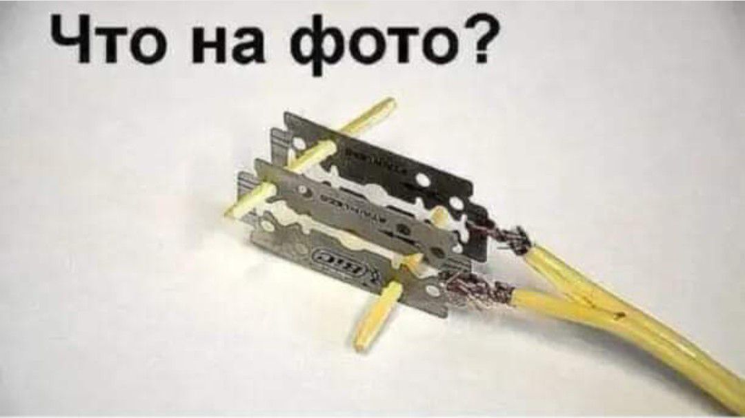 Что на фото
