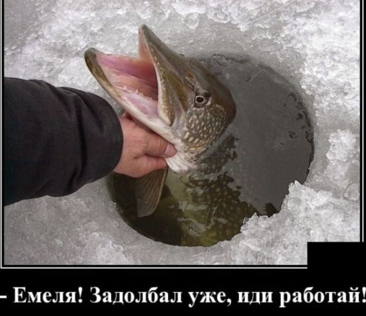 Емеля Задолбал уже иди работай