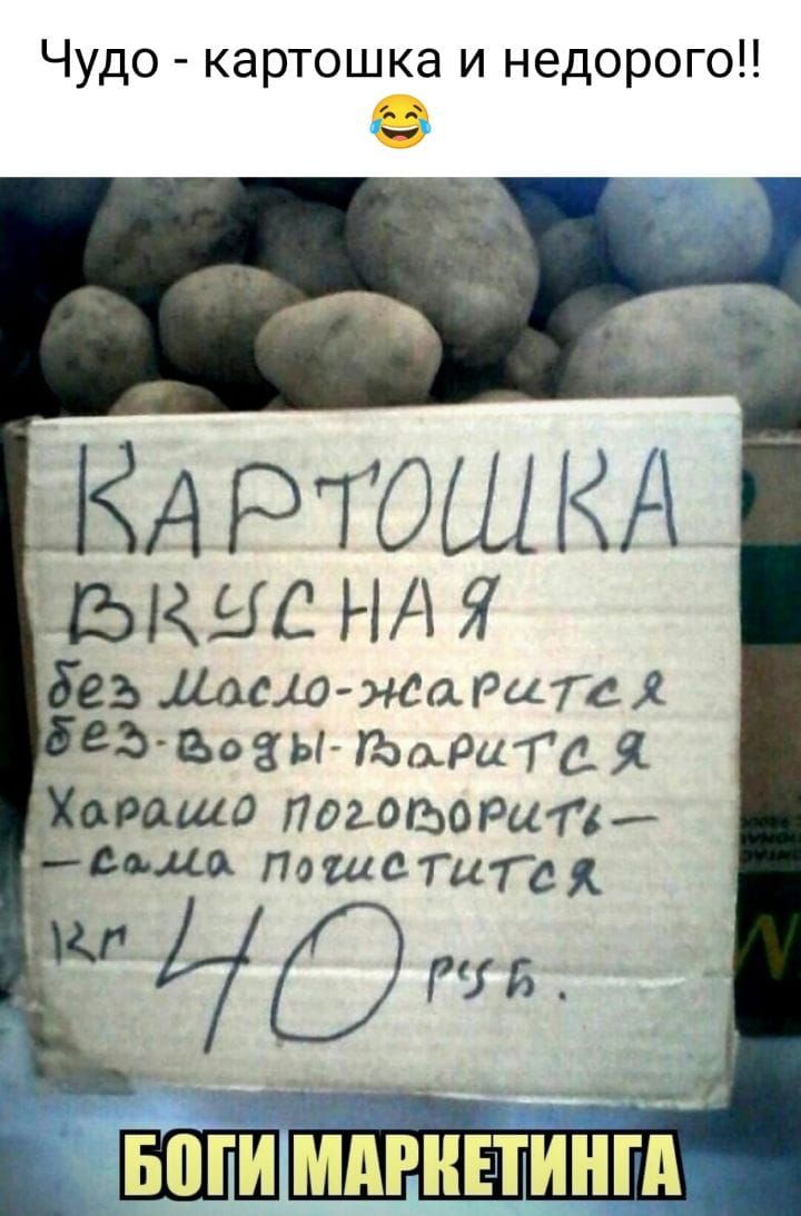 Чудо картошка и недорого А РТОШКА еь Длсщо жщшгсл Ага вазы тара га я пращо пастора п Миди тимати гад АЮ