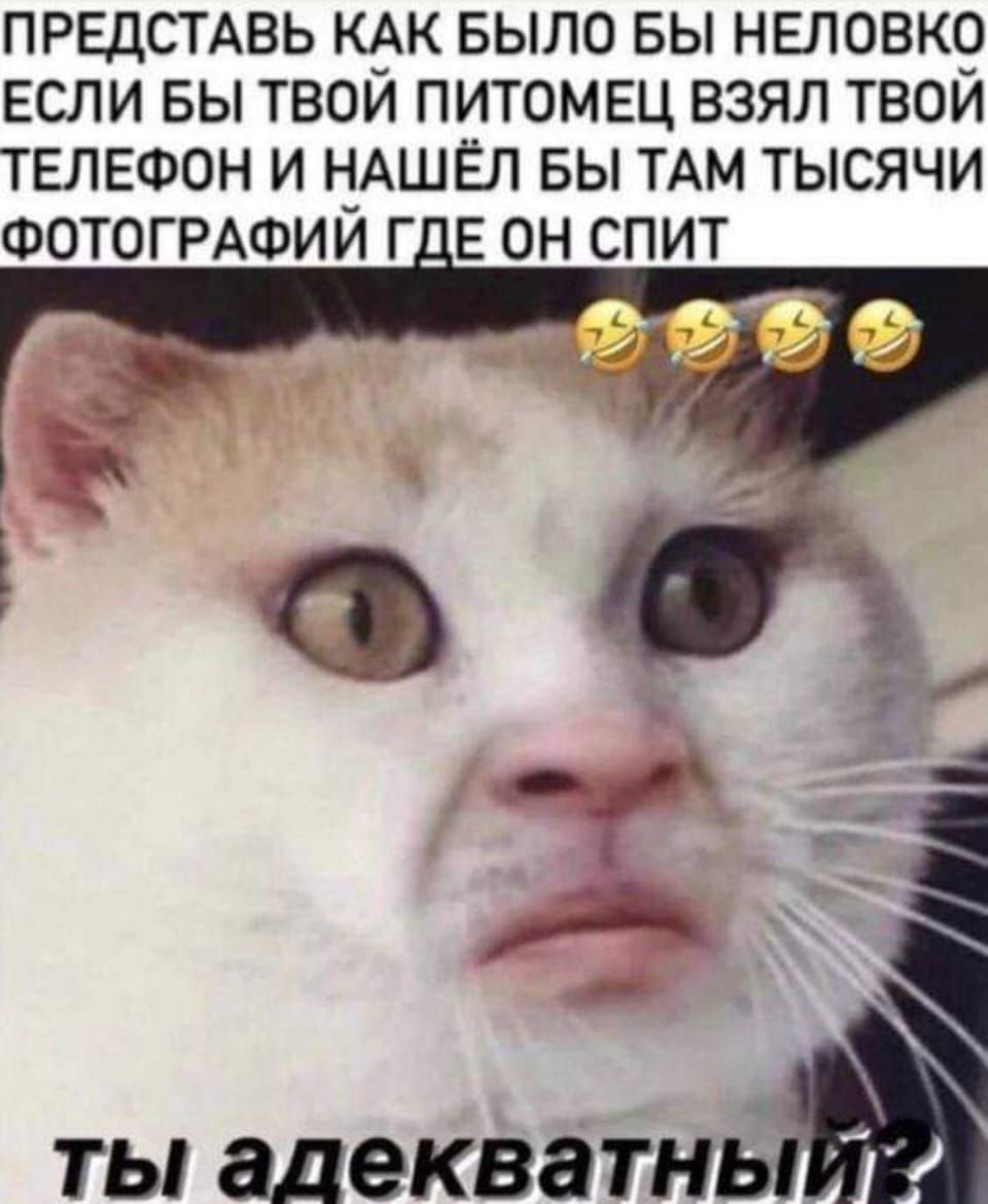 ПРЕДСТАВЬ КАК БЫЛО БЫ НЕЛОВКО ЕСЛИ ВЫ ТВОЙ ПИТОМЕЦ ВЗЯЛ ТВОЙ ТЕЛЕФОН И НАШЕЛ БЫ ТАМ ТЫСЯЧИ ФОТОГРАФИЙ Г Е ОН СПИТ ТЫ адекватн