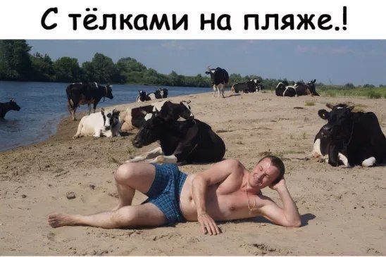 С тёлками на пляже
