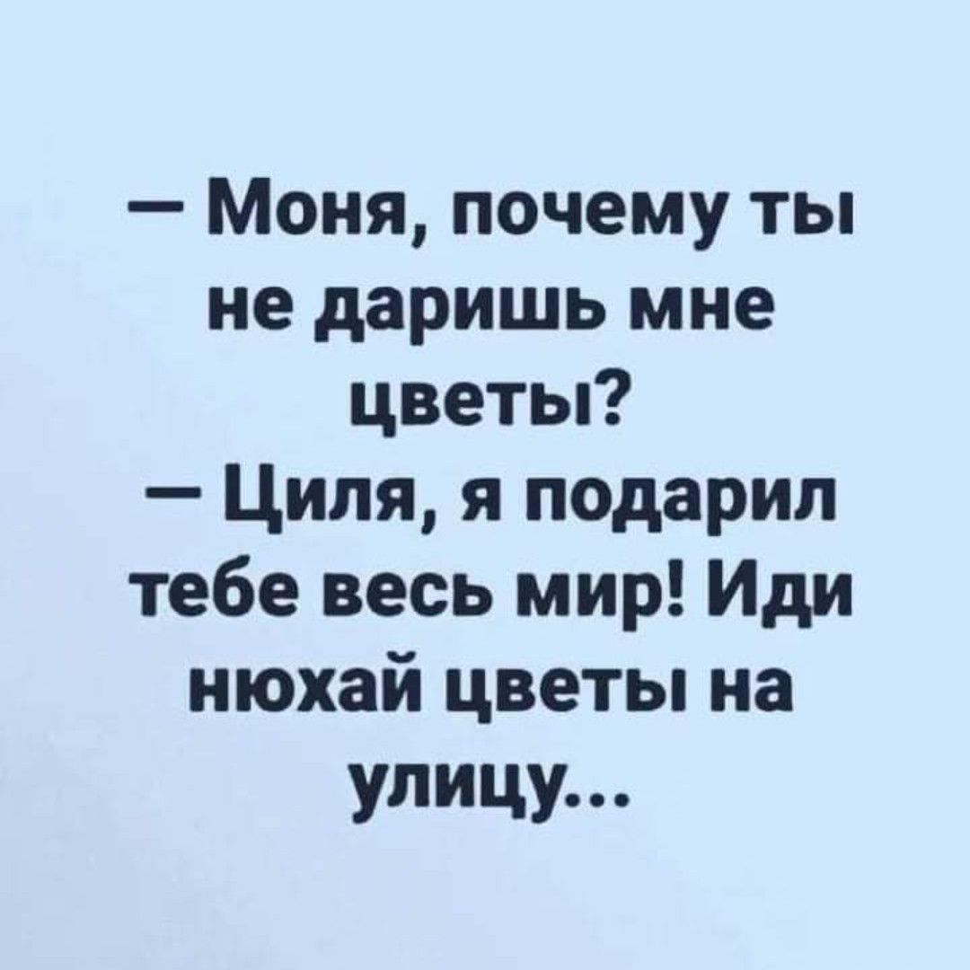 Моня почему ты не даришь мне цветы Ципя я подарил тебе весь мир Иди июхай цветы на улицу