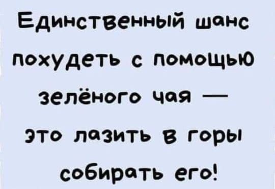 Единственный шанс похудеть с помощью зелёного чая это лазить в горы собирать его