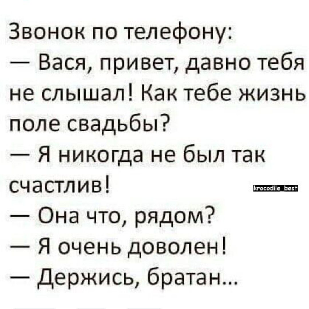 Звонок по телефону Вася привет давно тебя не слышал Как тебе жизнь поле свадьбы Я никогда не был так счастлив Она что рядом Я очень доволен держись братан