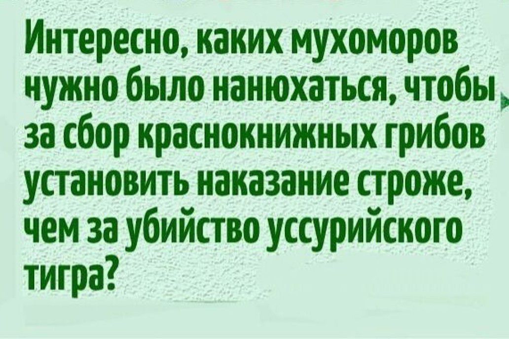 Интересно каких мухоморов нужно было ианюхаться чтобы за сбор краснокиижиых грибов установить наказание строже чем за убийство уссурийского тигра