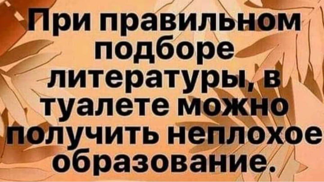 При правильном подборе литературы в туалете можно получить неплохое образование