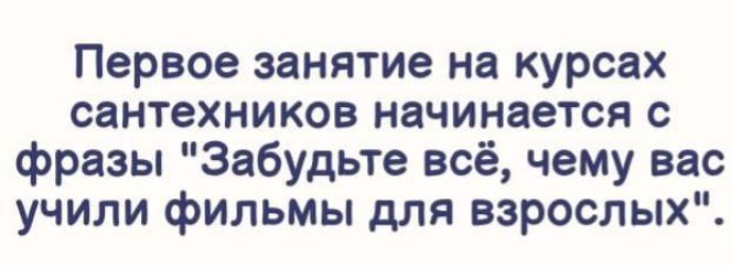 Первое занятие на курсах сантехников начинается с фразы Забудьте всё чему вас учили фильмы для взрослых