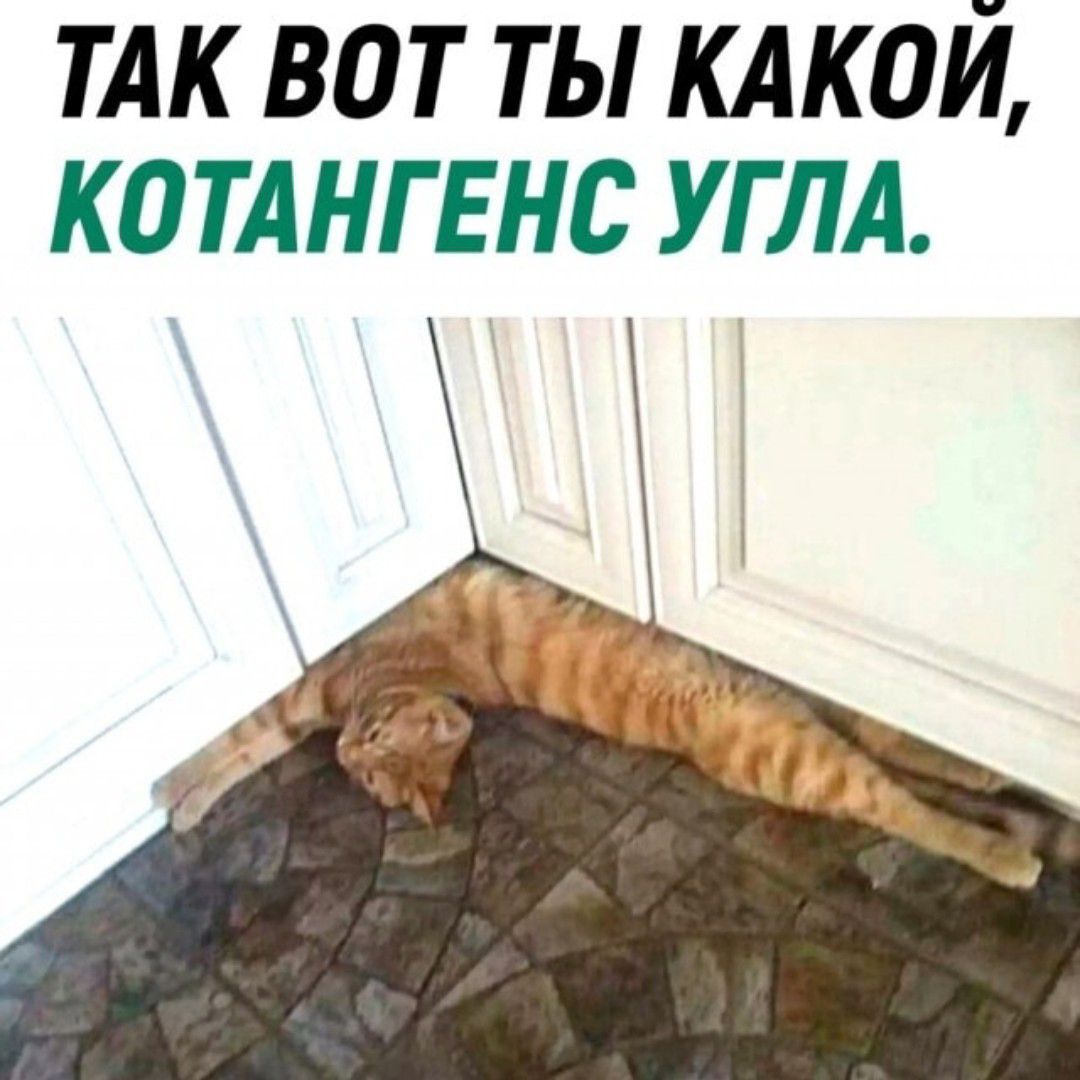 тлк вот ты клкой катл нгвнс углл