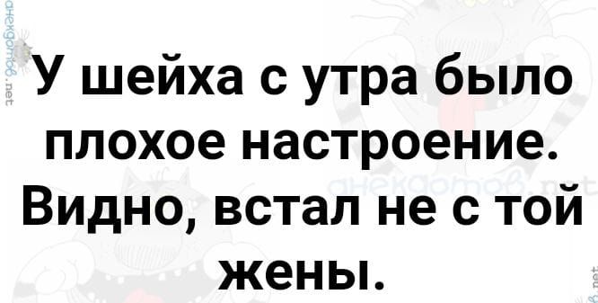 У шейха с утра было плохое настроение Видно встал не с той жены