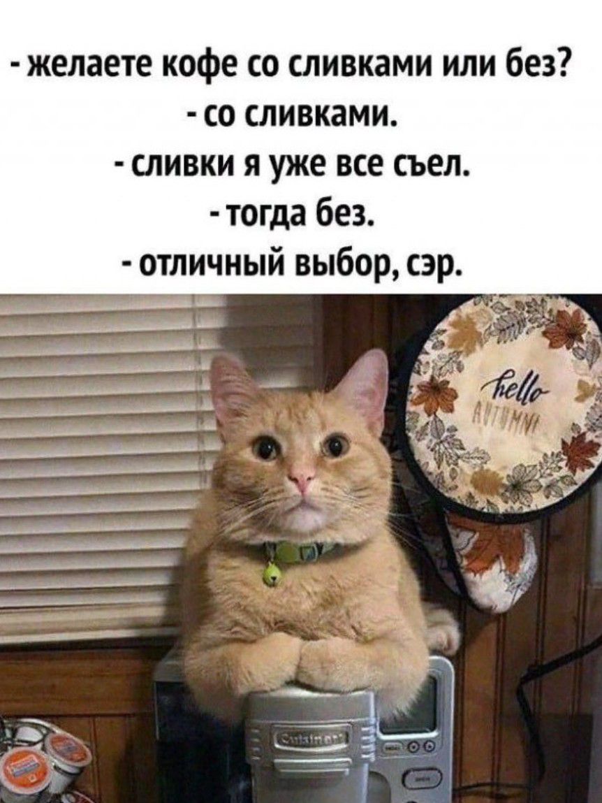 желаете кофе со сливками или без со сливками сливки я уже все съел тогда без отличный выбор сэр