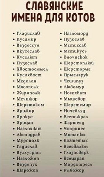 СЛдВЯНСКИЕ ИМЕНЯ дЛЯ КОТОВ гщцсыц Ндыоморс Кушнир Пузосдав Всшпсуп МстпссаВ ВКуссСАпв Мспшйусь КусыЬт Виочцсіок Пузссдаи Пертомои хаостосмисд Шерсториг Кусихваст нрщмрук Мадам Чешипуз Мясоподк Аобимур Жнропмк Ногохиэт Мечникор Мышсбор Крип діти Шсрстсипр Яродйор Ночсблур Яроікус ВсепоЖрм Яроцяп Фаршеяа НамохВат Чопршпсс Мамаева Мит Мох Муром КоганаЕ Гпяпсмв вме ды Вуцусрдщ ппзосВерк шож Всем плену