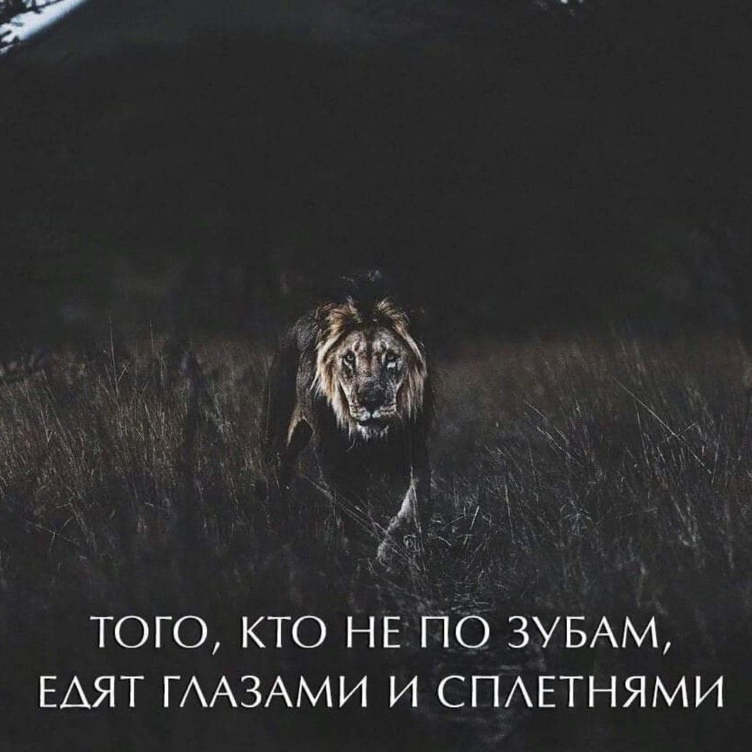 ТОГО КТО НЕ ПО ЗУБАМ ЕАЯТ ГААЗАМИ И СПАЕТНЯМИ