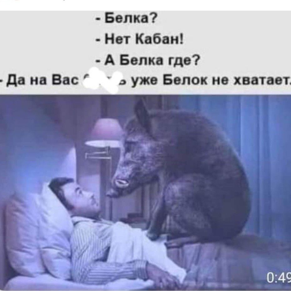 Белка Нат Кабан А Бопкв где дд нв Вы уже Белок не хватает