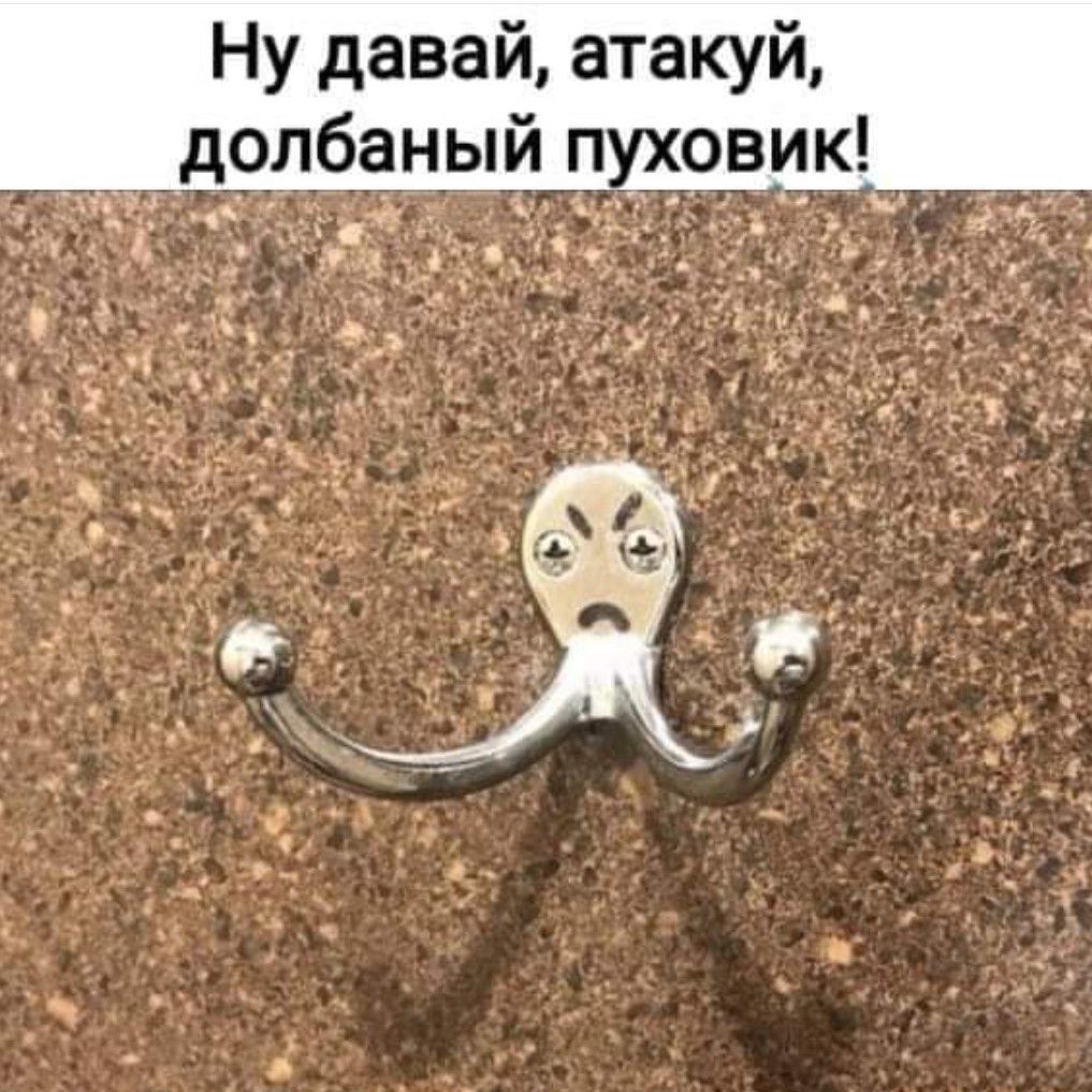 Ну давай атакуй лбаныйп ви