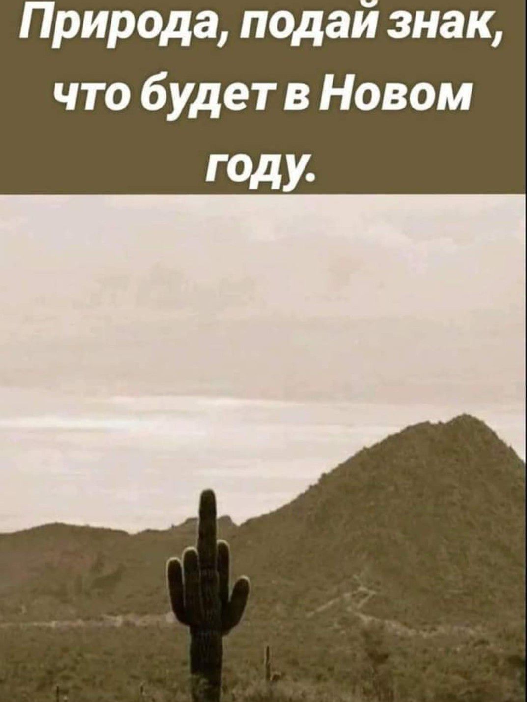 Природа подай знак что будет в Новом ГОДУ