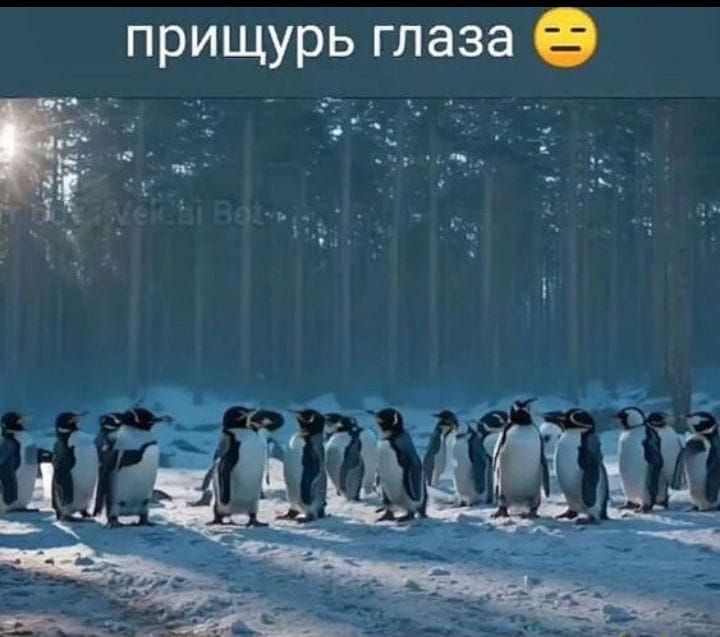 прищурь глаза