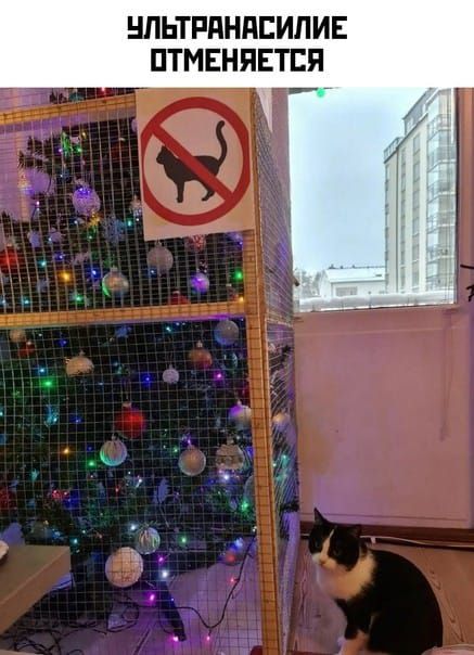 НЛЬТРПНПЕИЛИЕ ПТМЕНЯЕТЕЯ